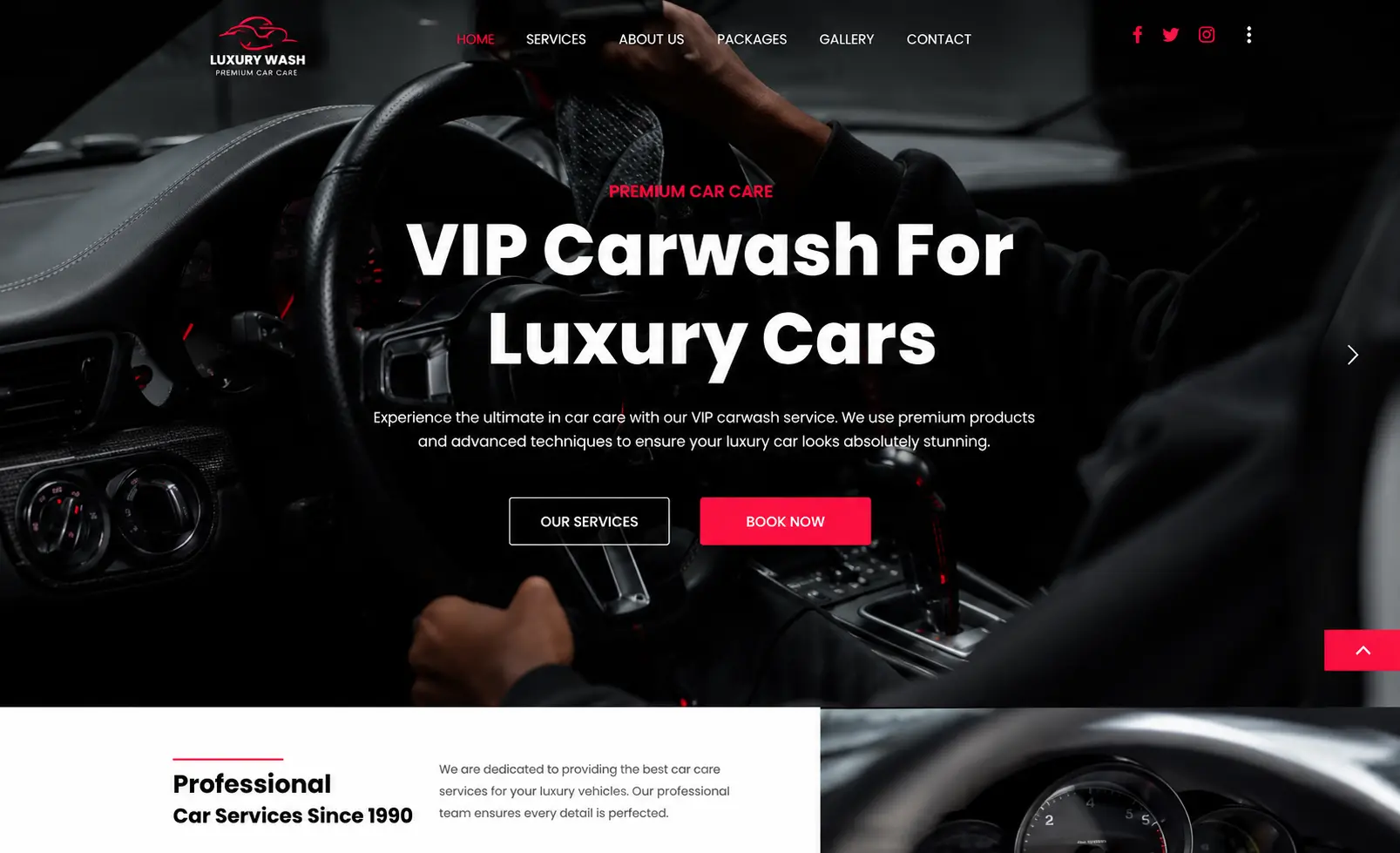 wordpress website